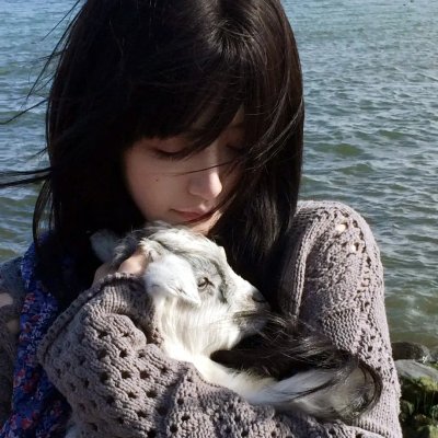 忍者神龟第二季海报