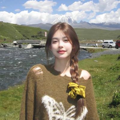 隐形红翼海报